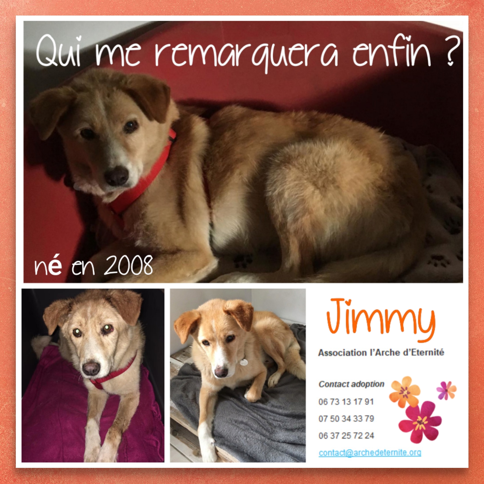 Jimmy