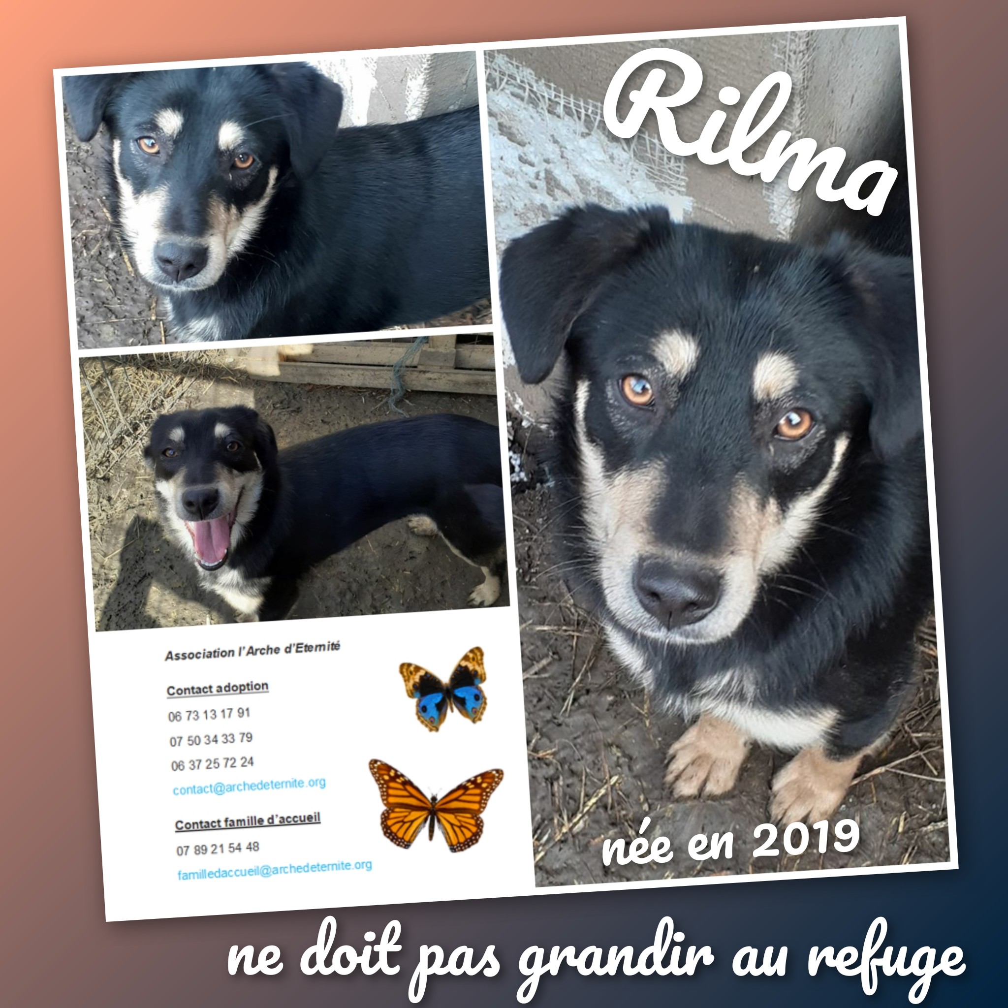 Rilma