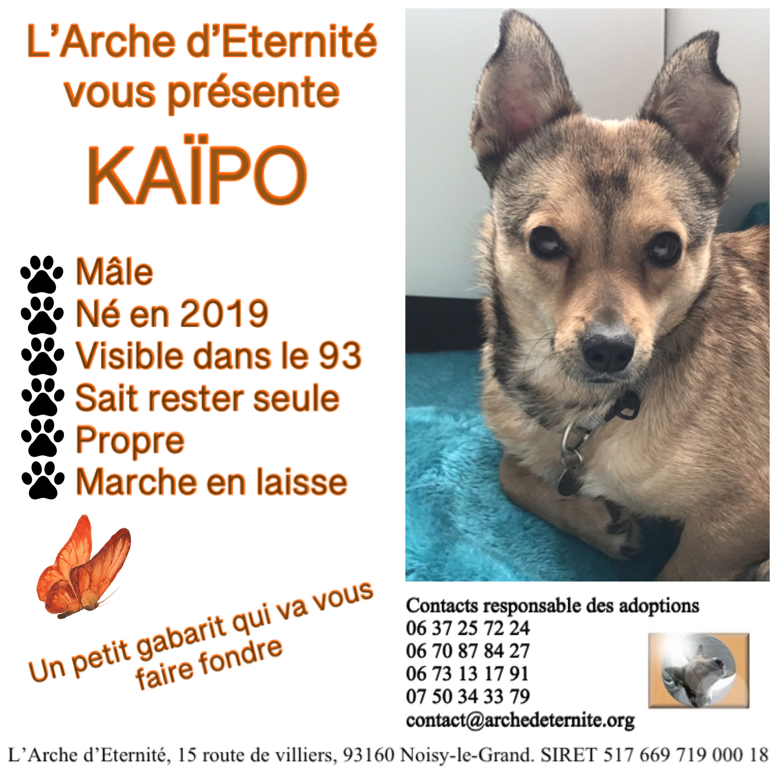 Kaïpo