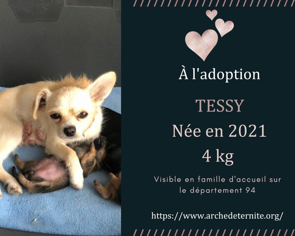 Tessy (et ses bébés)