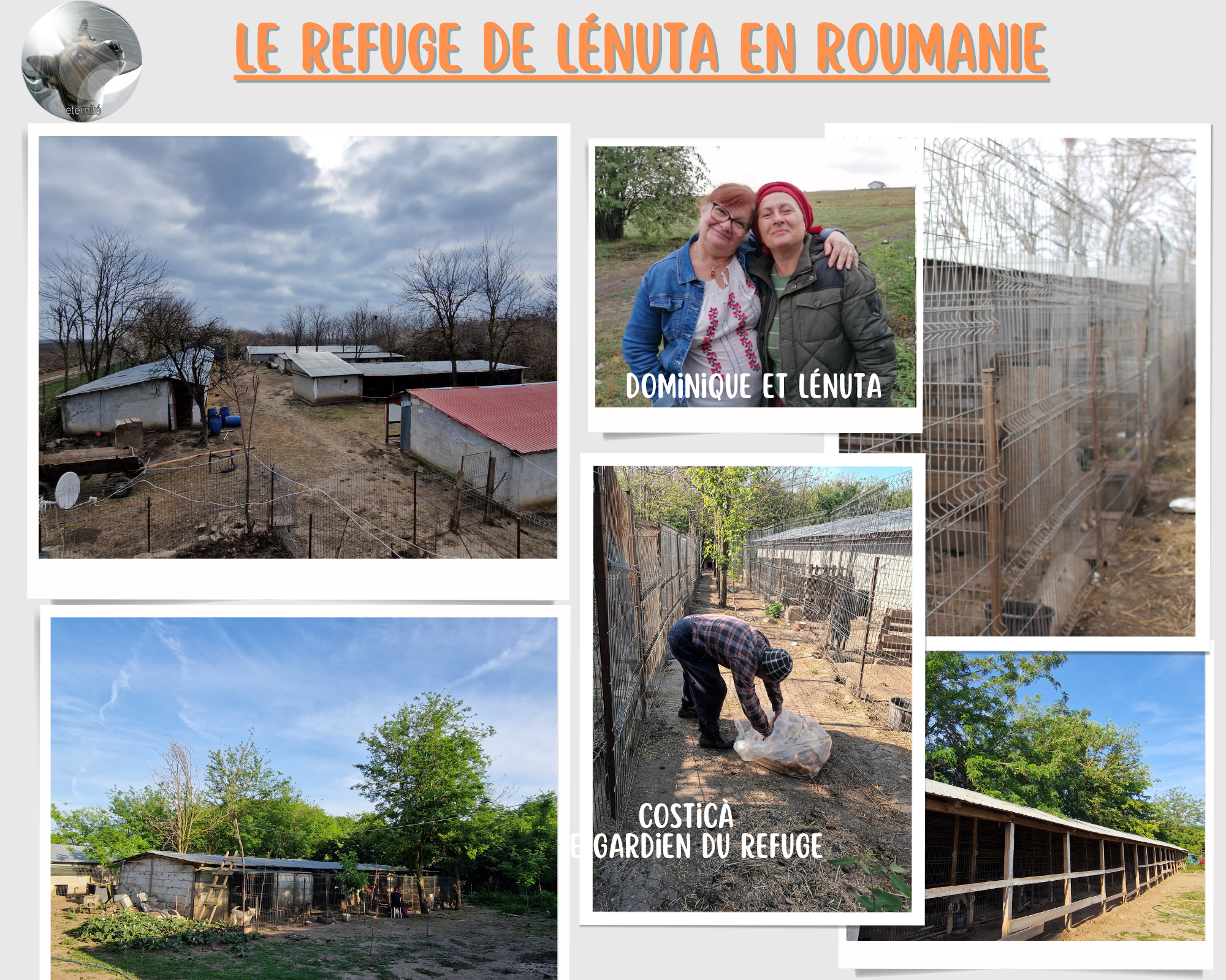 adoptez-un-chien-du-refuge-de-lenuta1.png