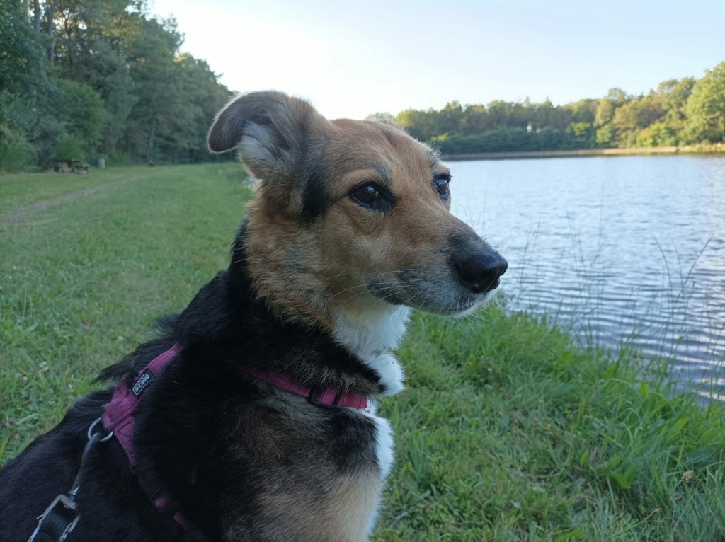Kimy