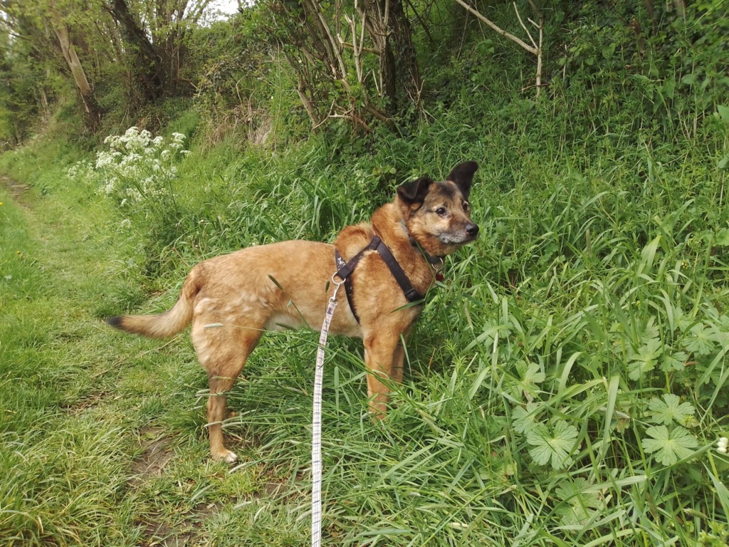 Relko