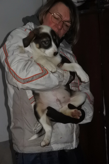 Astro