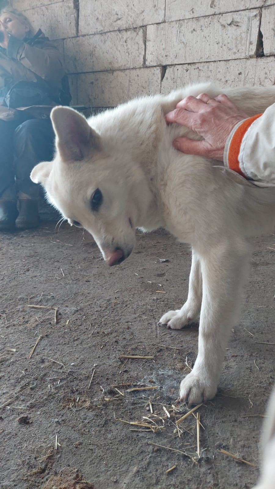 Zyko