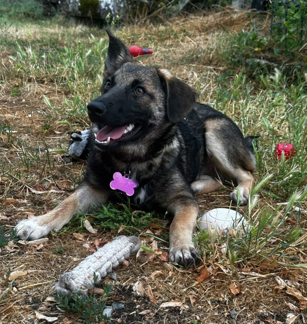 Linaé