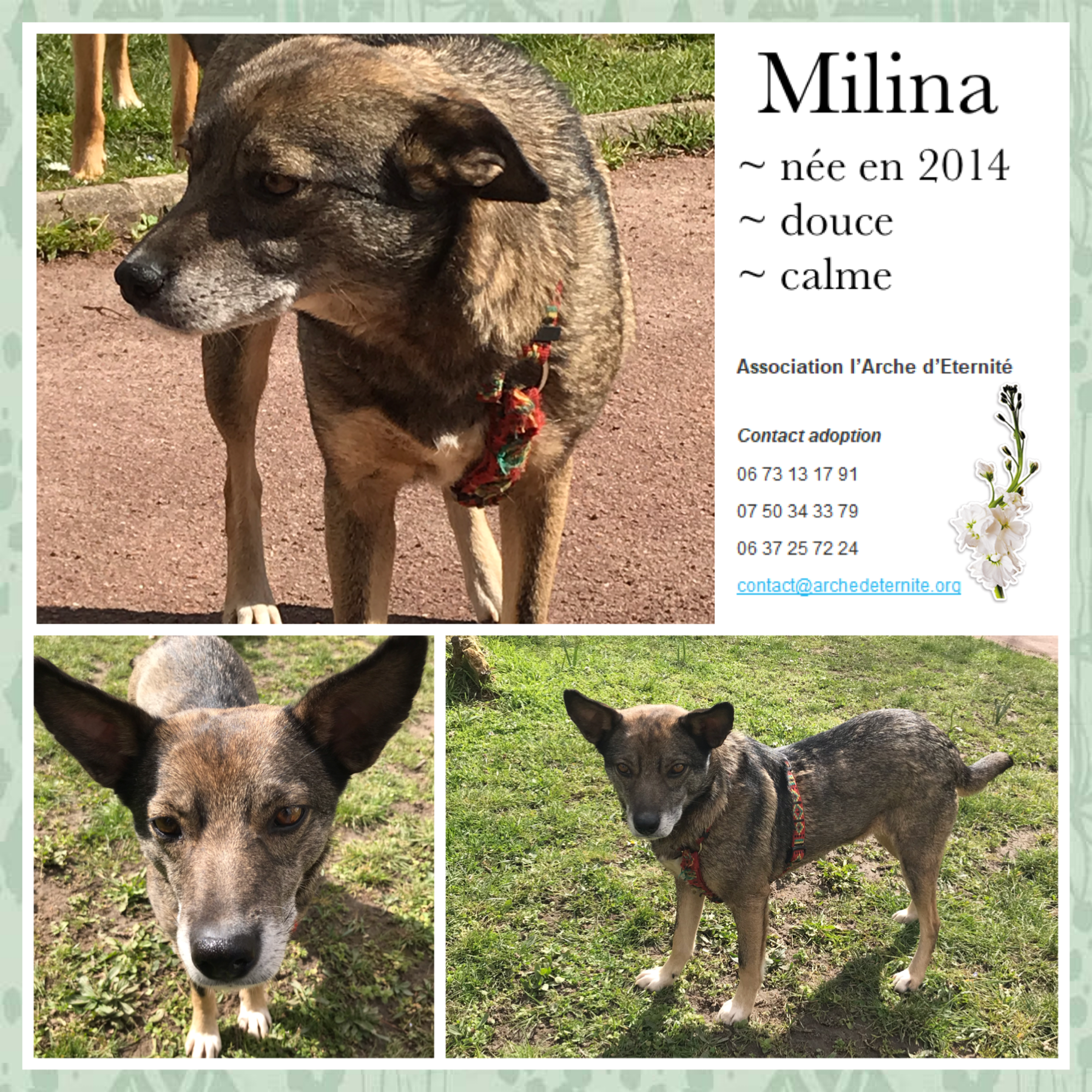 Milina